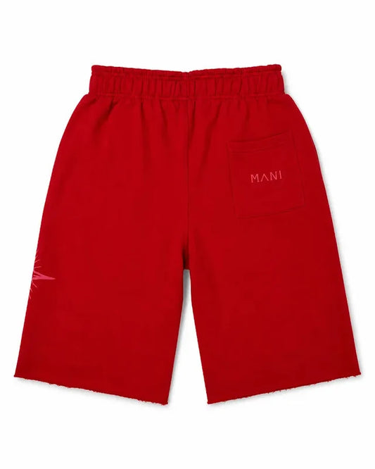 Vertical Logo Long Shorts Red