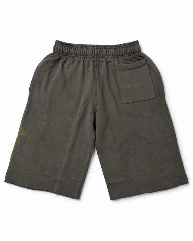 Vertical Logo Long Shorts Earth