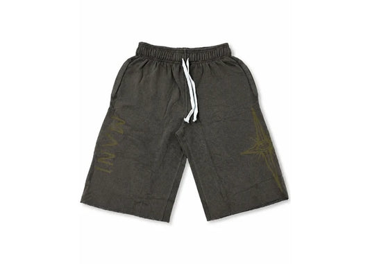 Vertical Logo Long Shorts Earth