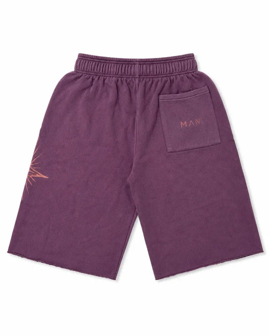 Vertical Logo Long Shorts Plum